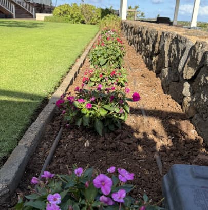 irrigation-2