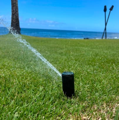 irrigation-3