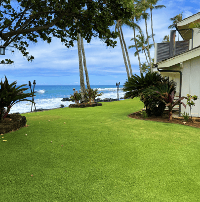 lawn-1-min