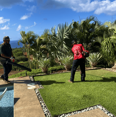 lawn-2-min